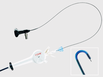 Image: The Flexor Vue Deflecting Endoscopic System (Photo courtesy of Cook Medical).